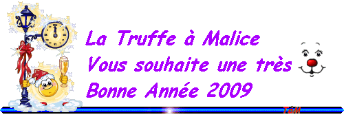 Meilleurs voeux pour la nouvelle année
